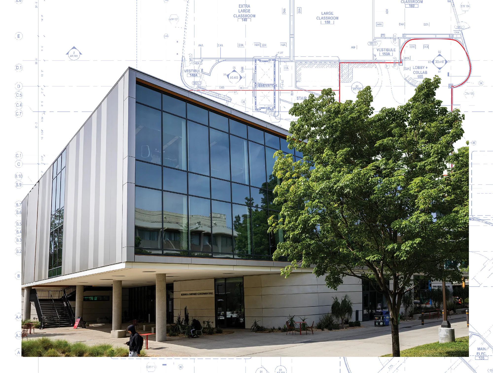 Exterior of CSUN’s Ronna & Shepard Goodman Hall with large glass windows and a tree in front.