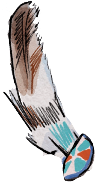 A watercolor illustration of a single large brown and white feather with a blue and red patterned base.