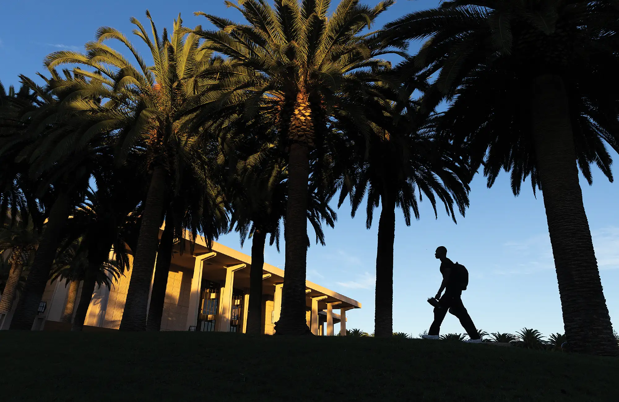Silhouette of a student wearing a backpack walking past tall palm trees and a campus building under a clear blue sky.
